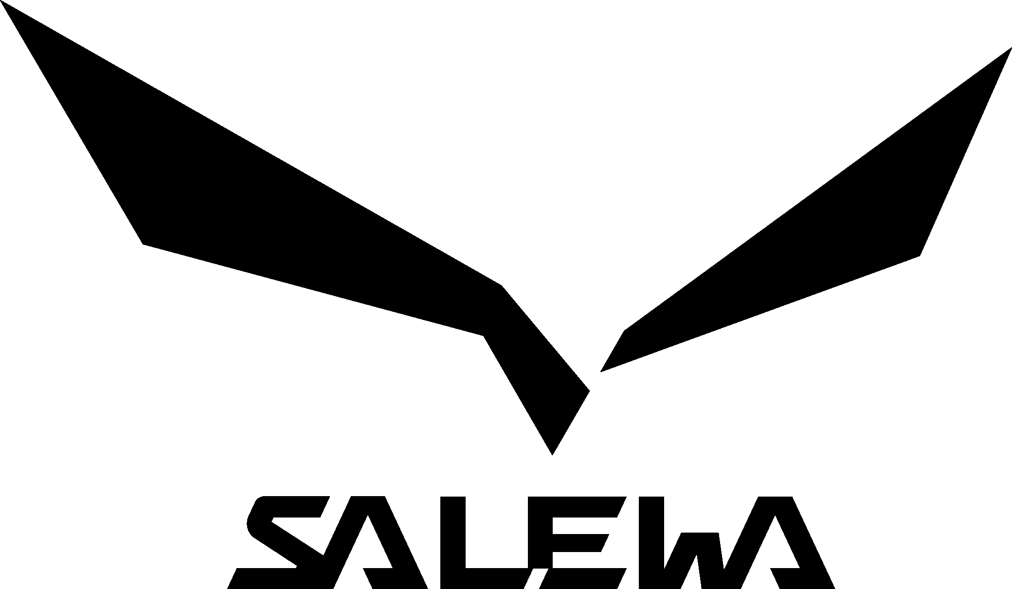 Salewa