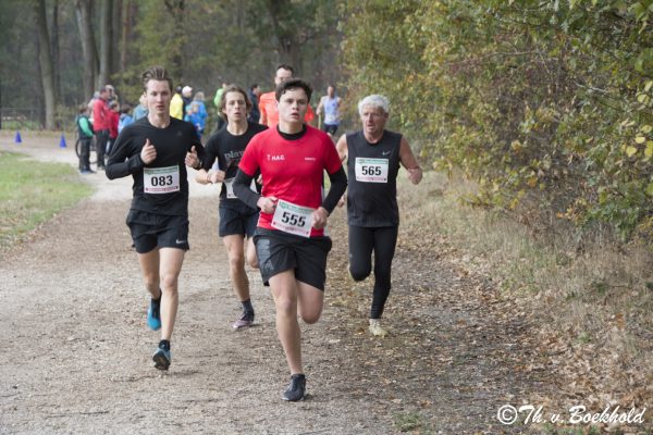 Wandelen versus hardlopen: wat verandert er voor de heup?