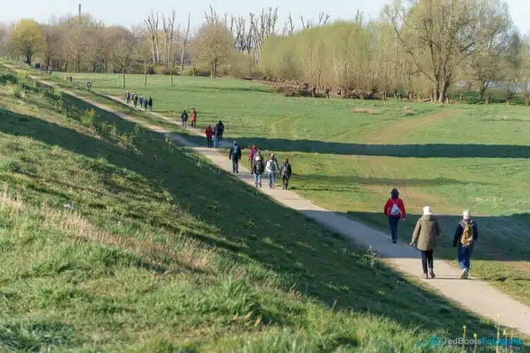 Zondag 7 januari, 4 februari en 3 maart: Oefentochten Venloop