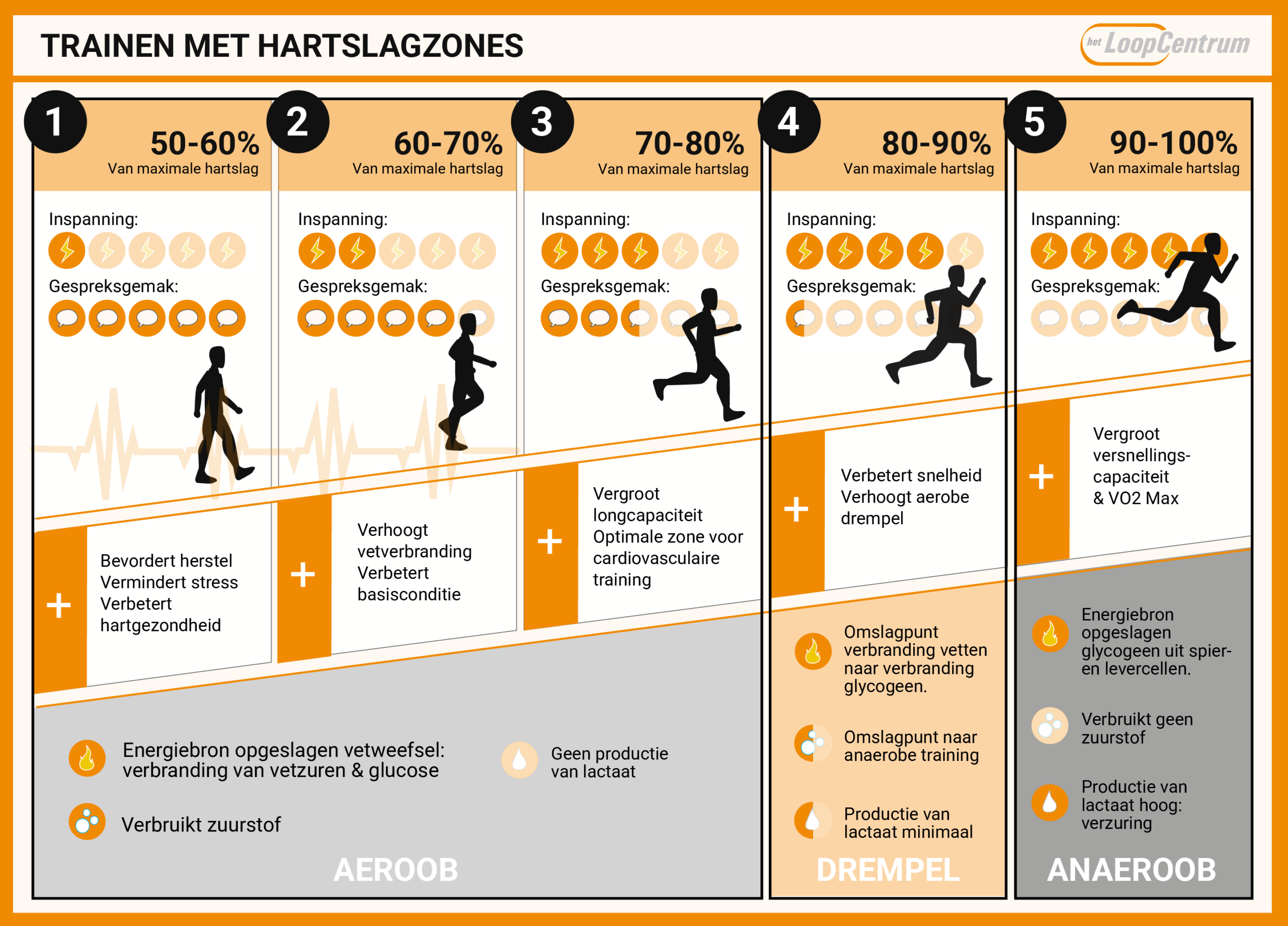 Drie processen waarmee je lichaam energie produceert