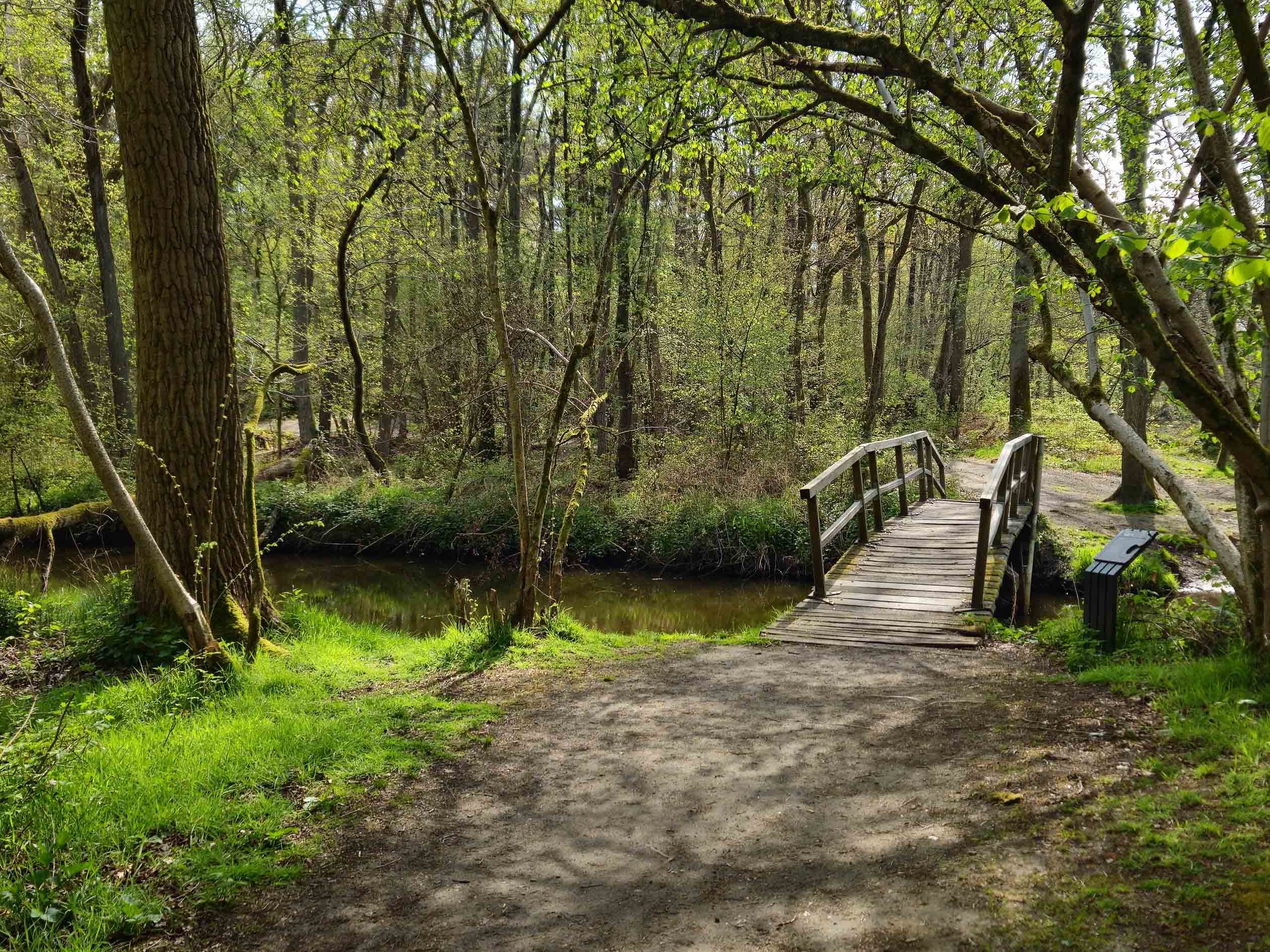 De magie van lange afstanden