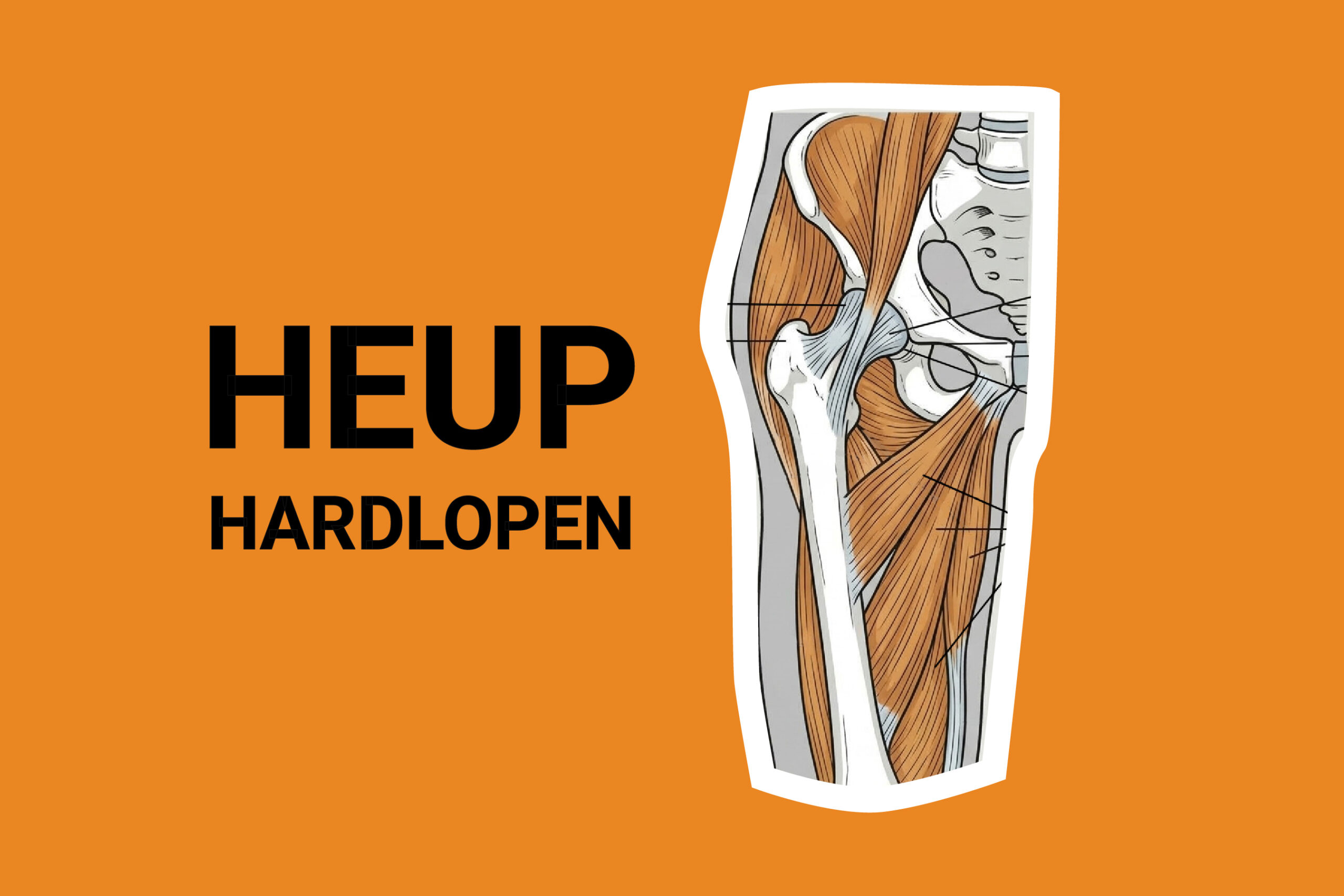 De rol van je heup bij het hardlopen